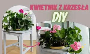 Jak zrobić kwietnik z krzesła - łatwe kroki i kreatywne pomysły