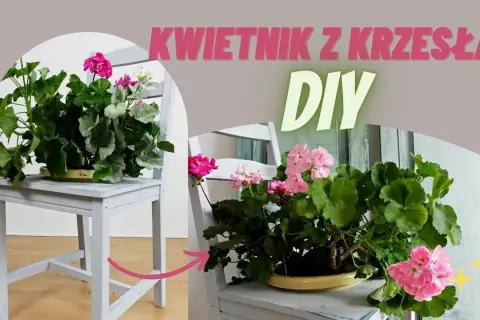 Jak zrobić kwietnik z krzesła - łatwe kroki i kreatywne pomysły