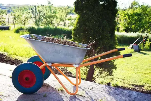 Dwukołowa taczka ogrodowa z metalową skrzynią pełną gałęzi, gotowa do pracy w słoneczny dzień.